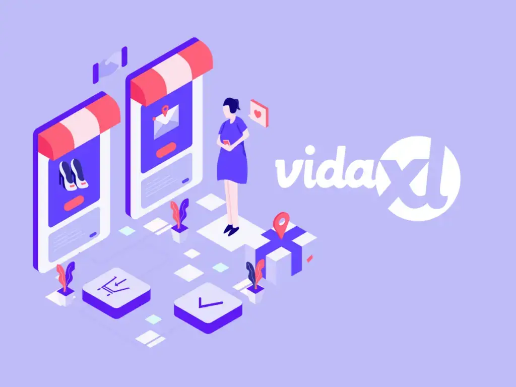 How does vidaXL WooCommerce plugin for dropshipping work?