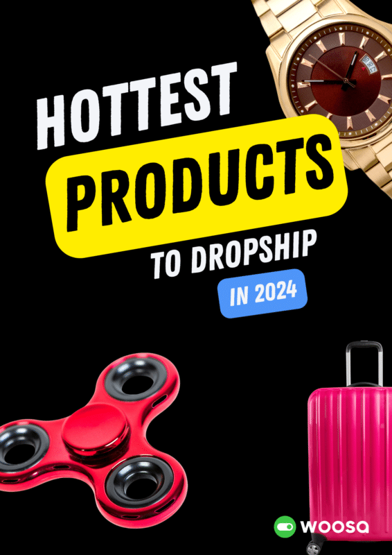 hottest products to dropship 2024